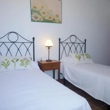 Mari Carmen Villa *
